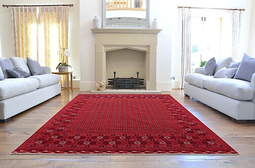 47145486521 fc365f05ab o6 copy2